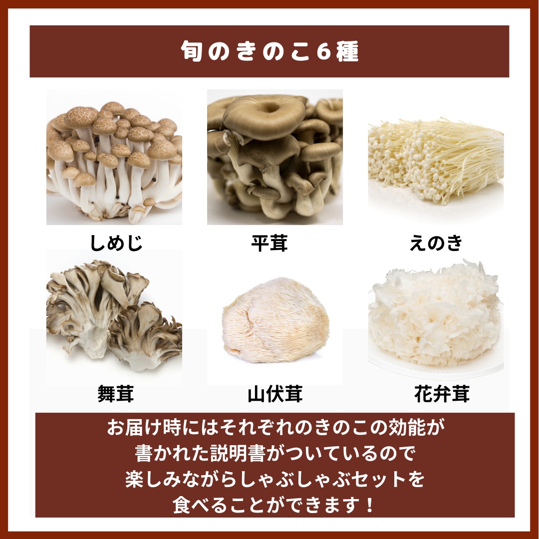 【期間限定】~秋の味覚フェア~舞茸だしで味わう6種のきのこが入ったしゃぶしゃぶセット(3~4人前)