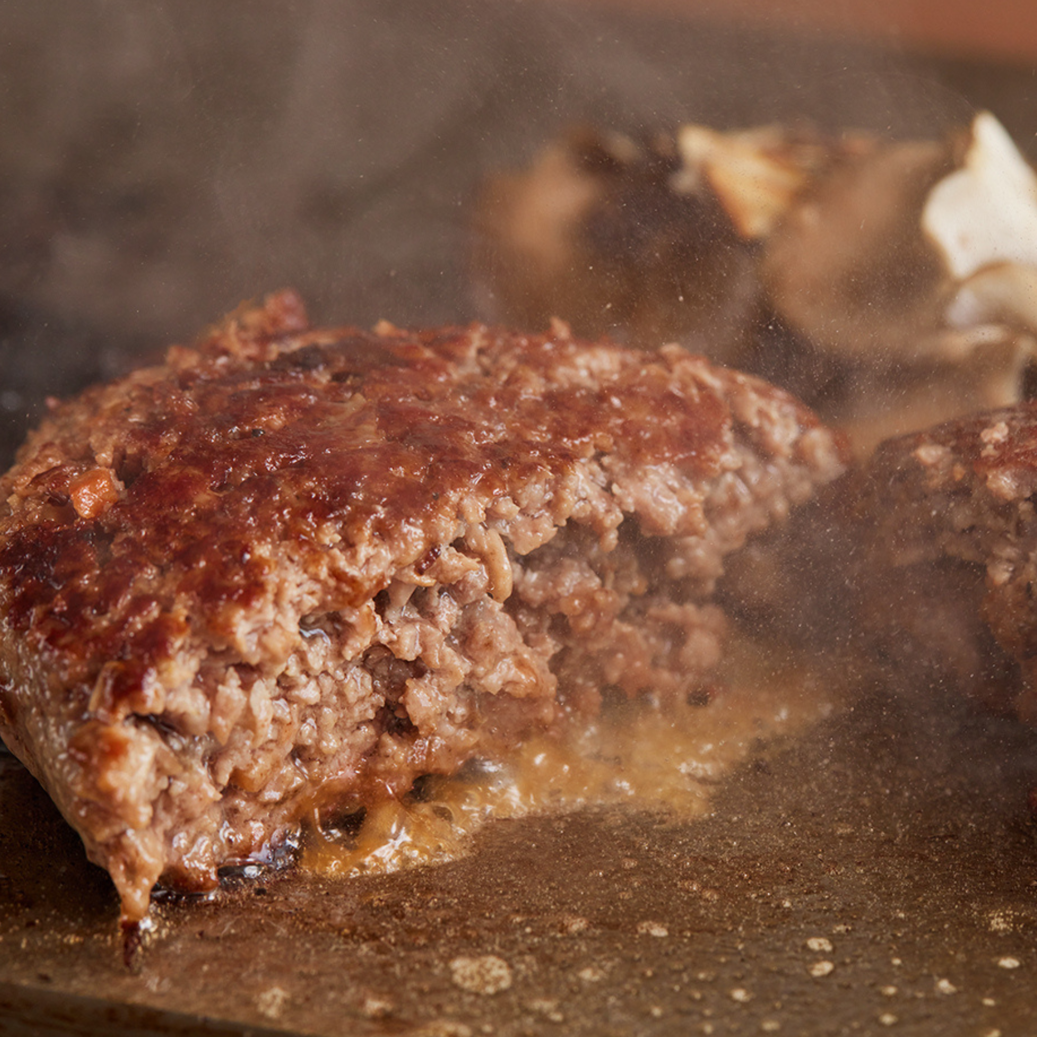 家族みんなで楽しむ　焼肉4種760g+ハンバーグ4個セット